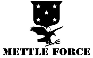 METTLE FORCE logo
