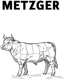 METZGER logo