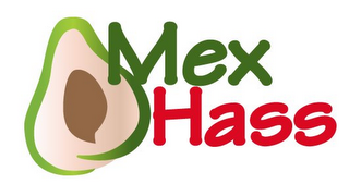 MEX HASS logo