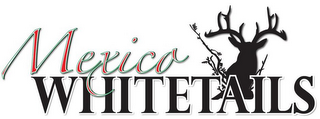 MEXICO WHITETAILS logo