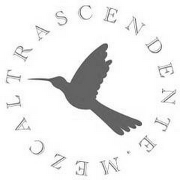 MEZCALTRASCENDENTE logo
