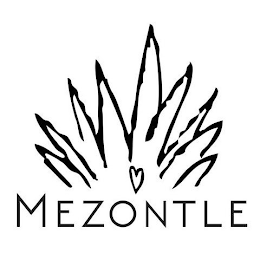 MEZONTLE logo