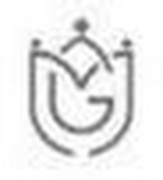 MG logo