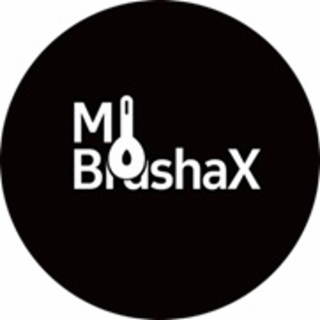 MI BRUSHAX logo
