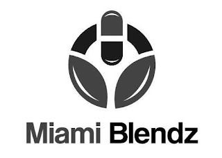 MIAMI BLENDZ logo