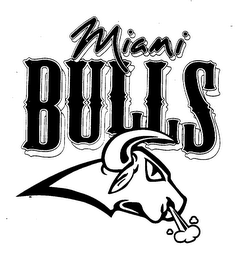 MIAMI BULLS logo