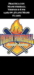 MIAMI FIREBALL BASEBALL ACADEMY logo
