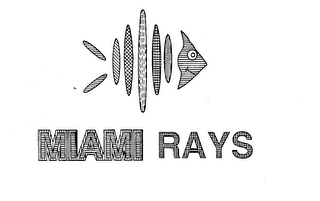 MIAMI RAYS logo