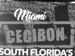 MIAMI SOUTH FLORIDA'S CECIBON logo