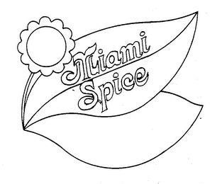 MIAMI SPICE logo