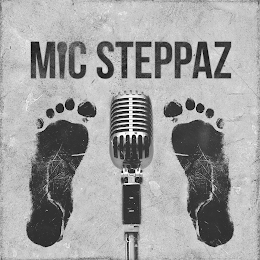 MIC STEPPAZ logo