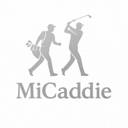 MICADDIE logo