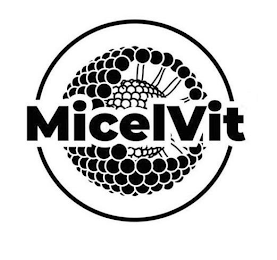 MICELVIT logo