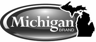 MICHIGAN logo