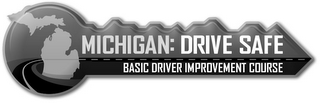 MICHIGAN: DRIVE SAFE BASIC DRIVER IMPROVEMENT COURSE logo