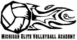 MICHIGAN ELITE VOLLEYBALL ACADEMY logo
