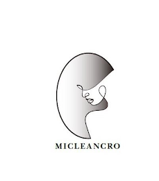 MICLEANCRO logo