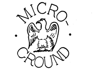MICRO GROUND logo