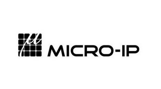 MICRO-IP