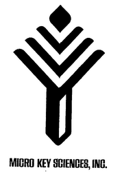MICRO KEY SCIENCES, INC. logo