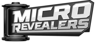 MICRO REVEALERS logo