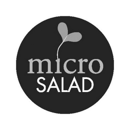 MICRO SALAD logo