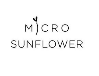 MICRO SUNFLOWER