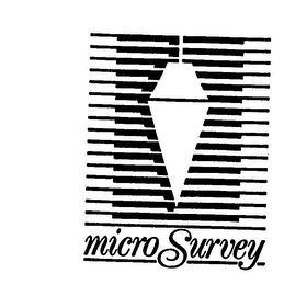MICRO SURVEY logo