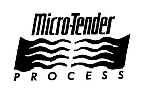 MICRO-TENDER PROCESS logo