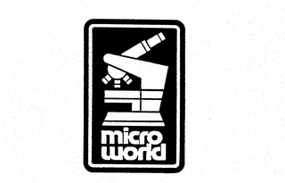 MICRO WORLD