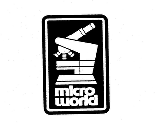 MICRO WORLD logo
