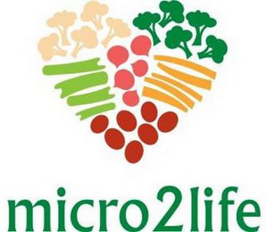 MICRO2LIFE logo
