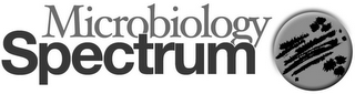 MICROBIOLOGY SPECTRUM logo