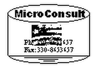 MICROCONSULT LTD logo