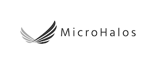 MICROHALOS logo