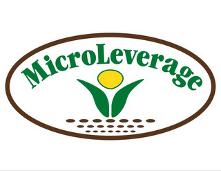 MICROLEVERAGE logo