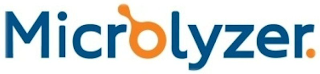 MICROLYZER. logo