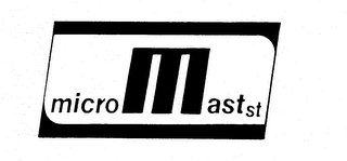MICROMAST ST logo