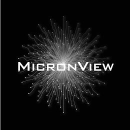 MICRONVIEW logo