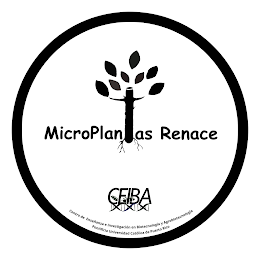 MICROPLANTAS RENACE CEIBA CENTRO DE ENSEÑANZA E INVESTIGACIÓN EN BIOTECNOLOGÍA Y AGROBIOTECNOLOGÍA PONTIFICIA UNIVERSIDAD CATÓLICA DE PUERTO RICO logo
