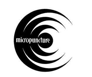 MICROPUNCTURE logo