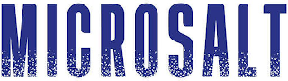 MICROSALT logo