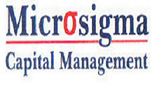 MICROSIGMA CAPITAL MANAGEMENT logo