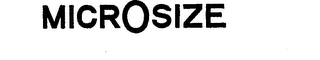 MICROSIZE logo