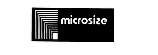 MICROSIZE logo