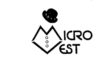 MICROVEST logo