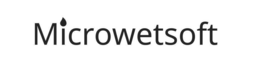 MICROWETSOFT logo