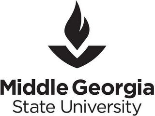 MIDDLE GEORGIA STATE UNIVERSITY logo