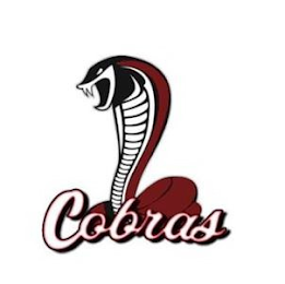 MIDDLEBORO COBRAS logo