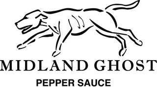 MIDLAND GHOST logo